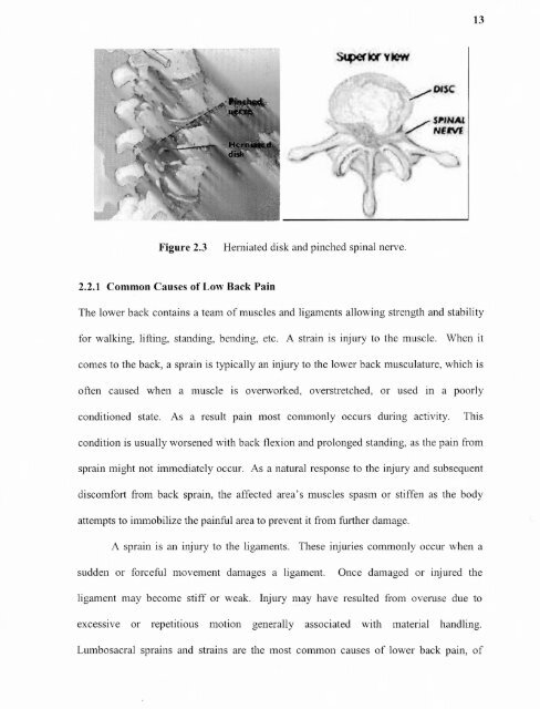 An ergonomic assessment of the airline baggage handler