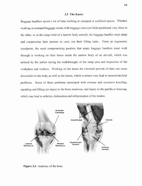 An ergonomic assessment of the airline baggage handler