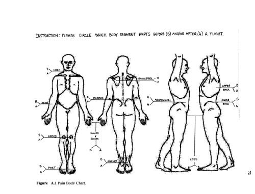 An ergonomic assessment of the airline baggage handler