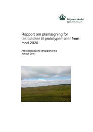 Rapport, planlaegn. for testpladser.pdf - RingkÃ¸bing-Skjern Kommune