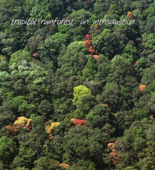 rainforest restoration - Ministry of Environment and Forests
