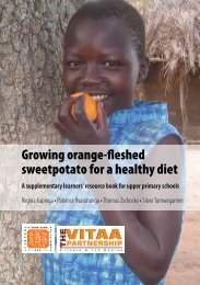 Growing Orange Fleshed Sweet Potato For A Healthy Diet