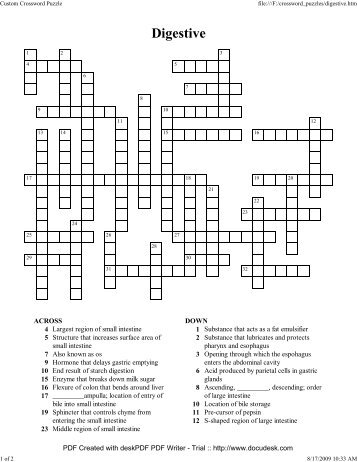 Custom Crossword Puzzle