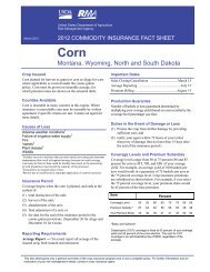 Corn - RMA USDA Risk Management Agency - US Department of ...