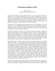 El Jucumari en Bolivia en 2007 - Amazon S3