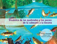 DinÃ¡mica de las quebradas y los peces: de la cabecera a la bocana