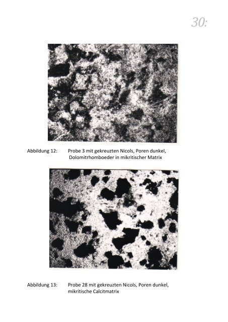"Emmerthal 1985" (PDF 2.7 MB) - Diplom-Mineraloge Dr. Wolfgang ...