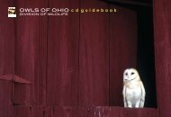 Owls of Ohio - Ohio Department of Natural Resources