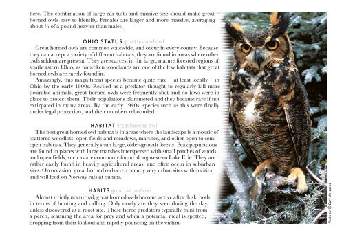 Owls of Ohio - Ohio Department of Natural Resources