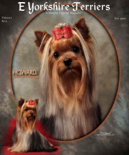 groveshire yorkshire terriers