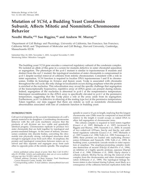 Mutation of YCS4, a Budding Yeast Condensin Subunit - Molecular ...