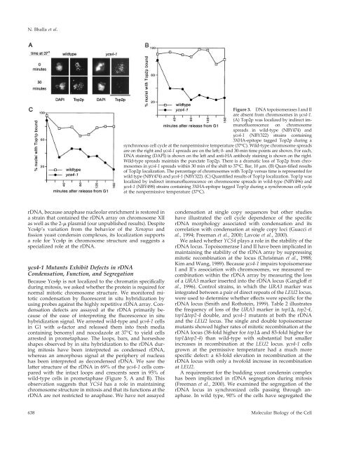 Mutation of YCS4, a Budding Yeast Condensin Subunit - Molecular ...