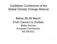 From Cancún to Durban - Global Climate Change Alliance