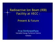 Radioactive Ion Beam (RIB) Facility at VECC : - Saha Institute of ...