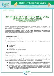 Disinfection of hatching eggs - The Poultry Site