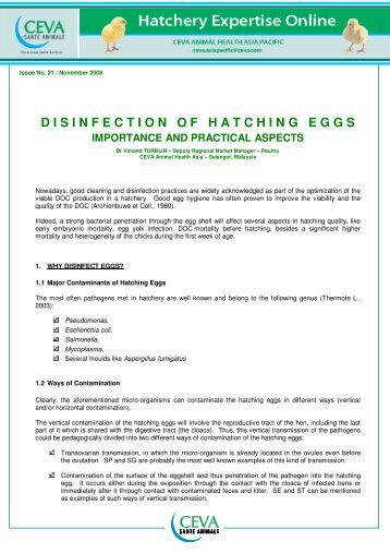 Disinfection of hatching eggs - The Poultry Site