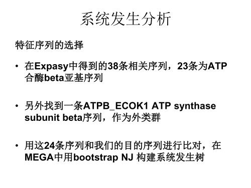 棉花线粒体ATP合酶beta亚基的生物信息学分析 - abc