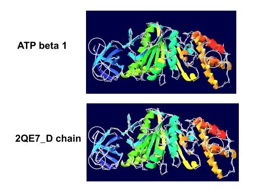 棉花线粒体ATP合酶beta亚基的生物信息学分析 - abc