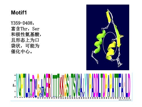 棉花线粒体ATP合酶beta亚基的生物信息学分析 - abc