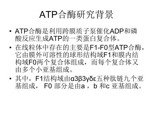 棉花线粒体ATP合酶beta亚基的生物信息学分析 - abc