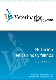 VeterinariosenWeb