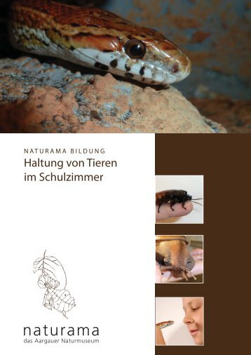 Schulzimmer Zoo-Homepage.indd - Naturama