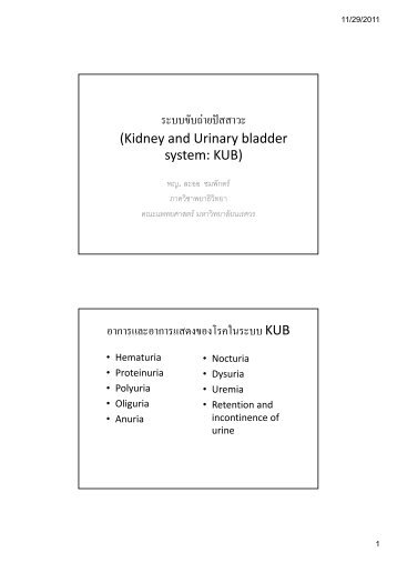 ระบบขับถายปสสาวะ (Kidney and Urinary ... - มหาวิทยาลัยนเรศวร