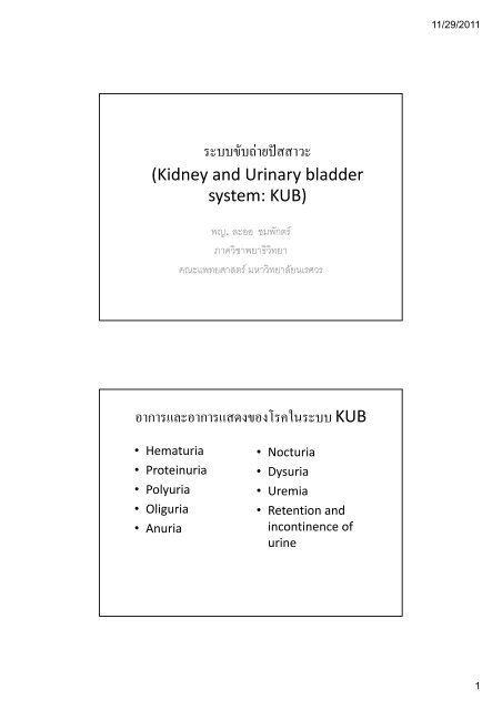 ระบบขับถายปสสาวะ (Kidney and Urinary ... - มหาวิทยาลัยนเรศวร