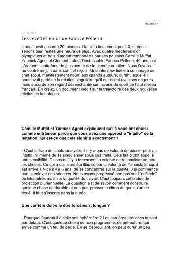 Fabrice Pellerin interview.pdf