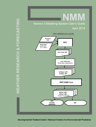 WRF-NMM User's Guide - Developmental Testbed Center