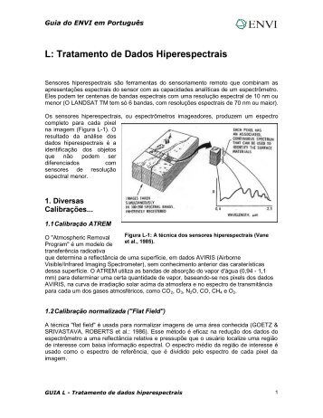 L: Tratamento de Dados Hiperespectrais