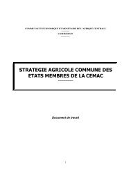 strategie agricole commune des etats membres de la cemac