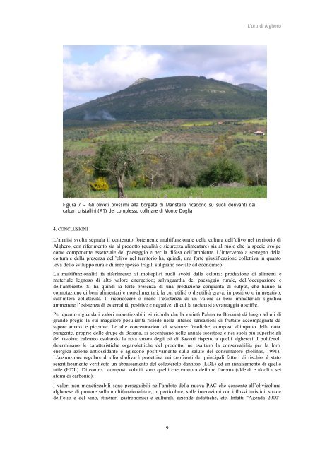 l'oro di alghero - Dipartimento di Economia e Sistemi Arborei ...