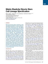 Matrix Elasticity Directs Stem Cell Lineage ... - Cmgm Stanford