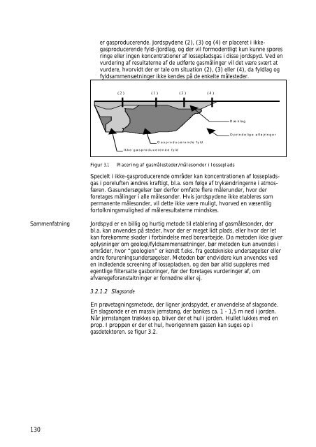 Metode til risikovurdering af gasproducerende ... - MiljÃ¸styrelsen