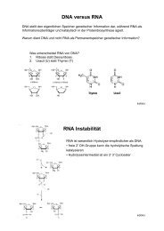 DNA versus RNA - ZMBH