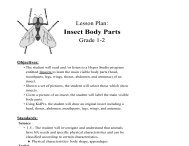 Insect Body Parts