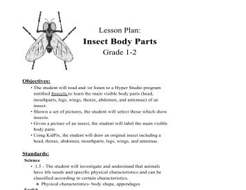 Insect Body Parts