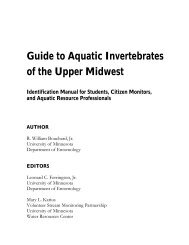 Guide to Aquatic Invertebrates of the Upper Midwest | 2004 - Water ...