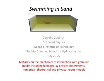 Swimming in Sand - Boulder School for Condensed Matter and ...