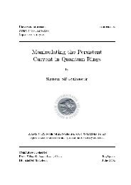 University of Iceland RH-08-2004 Faculty of Natural Science ...