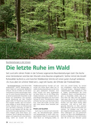 Die letzte Ruhe im Wald - Waldwissen.net