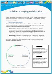 StabilitÃ© du caryotype de l'espÃ¨ce. - Bac S