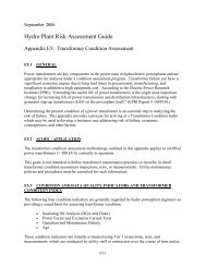 Hydro Plant Risk Assessment Guide