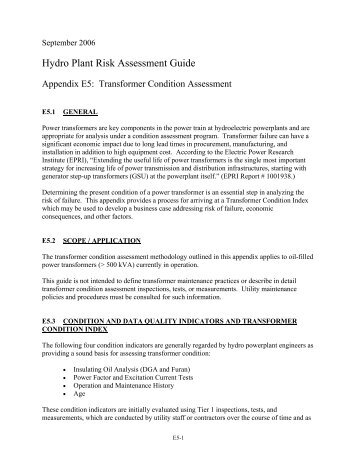 Hydro Plant Risk Assessment Guide