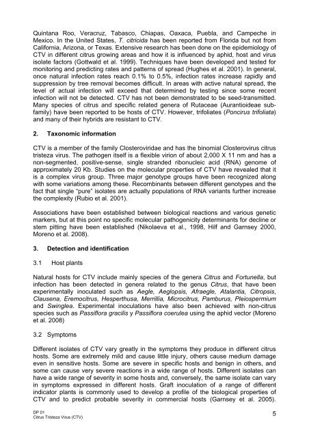 NAPPO DIAGNOSTIC PROTOCOLS DP 01 Citrus Tristeza Virus (CTV)