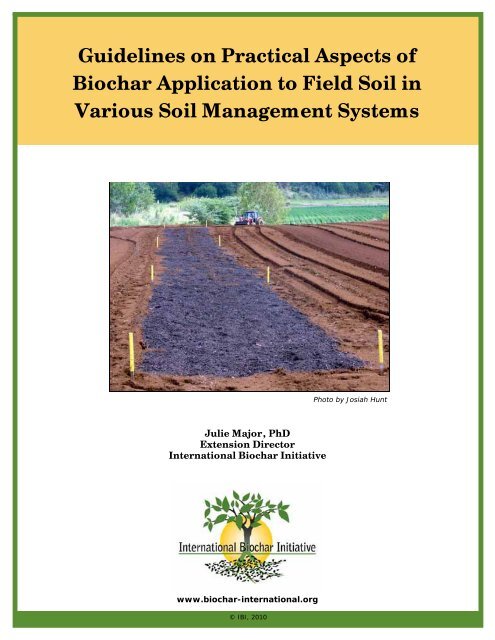 Guidelines on Practical Aspects of Biochar Application to Field Soil ...