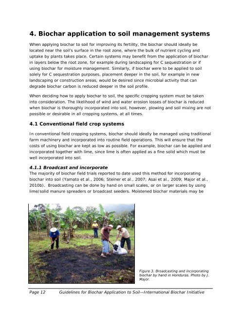 Guidelines on Practical Aspects of Biochar Application to Field Soil ...