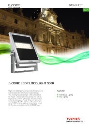 E-CORE LED FLOODLIGHT 3000 - Toshiba