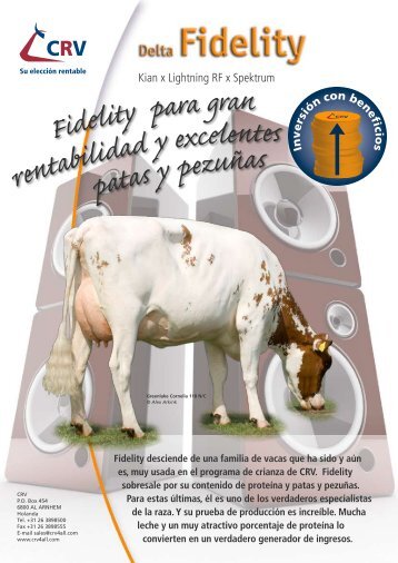 FIDELITY, el toro Holstein Rojo mÃ¡s rentable